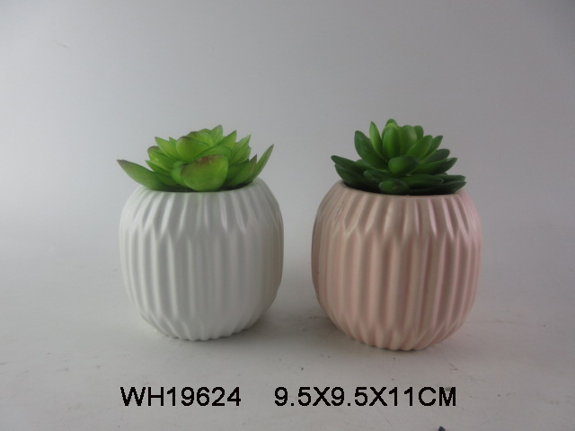 Ceramic Succulent Planter Pots