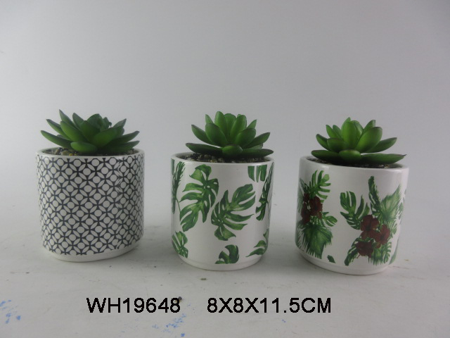 Ceramic Succulent Planter Pots