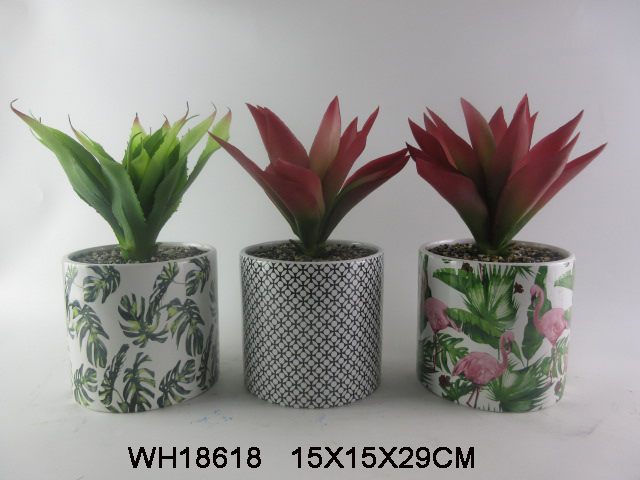 Ceramic Succulent Planter Pots