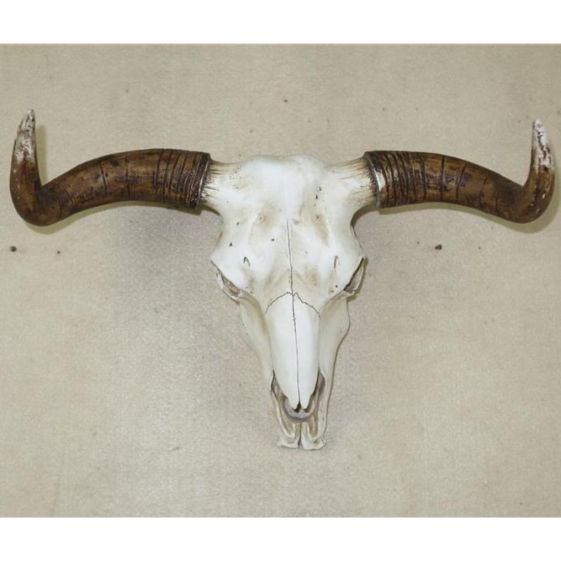 Cow Skull Decor