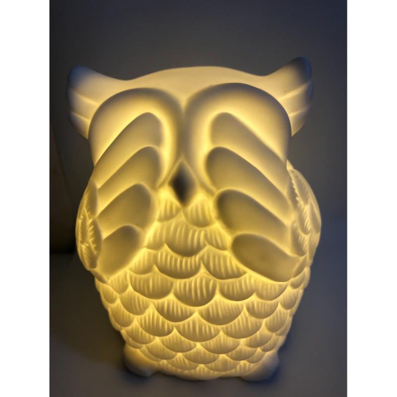 Ceramic white Fun Shaped Wise Owl Table Lamp