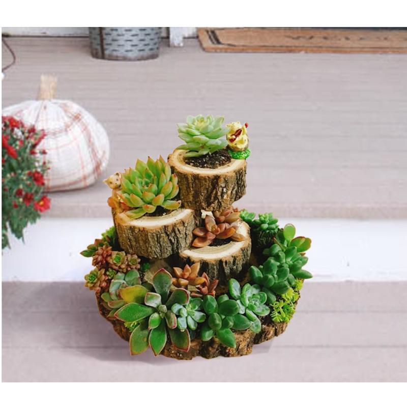 Adorable  Resin Succulent Planter Family